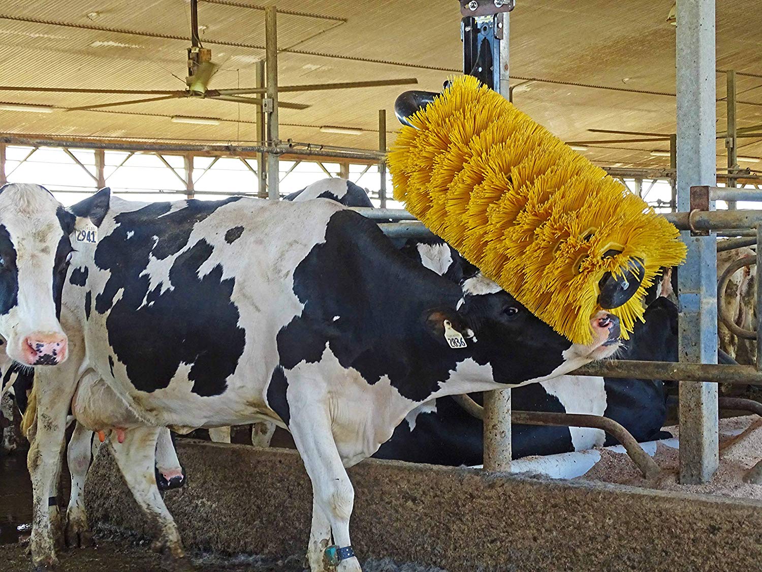 Livestock Grooming Cattle Scratchers Cow Body Brush Nylon Material