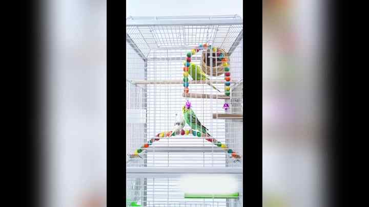 Image showcasing Easy to Clean Parrot Cage Small Bird Cage Customizable Bird Cage Stable ...