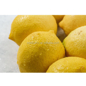 lemon yellow lemonyellow fresh  lemon yellow lemon fresh fruit