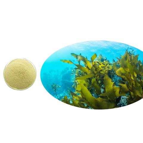 100% 家畜饲料用纯水溶性海藻糖低聚糖粉原料