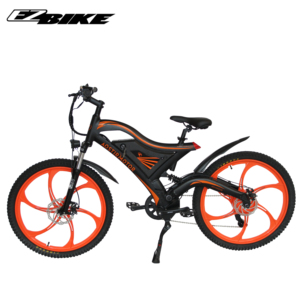 25 mph electric bike