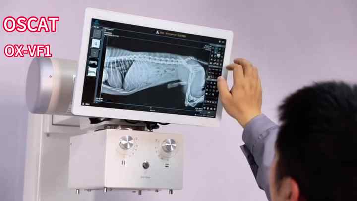 OSCAT Big Animal 32KW Medical Digital X-ray Machine Veterinary Equipment Xray Dr System X Ray Machine for Dog Pet Hospital