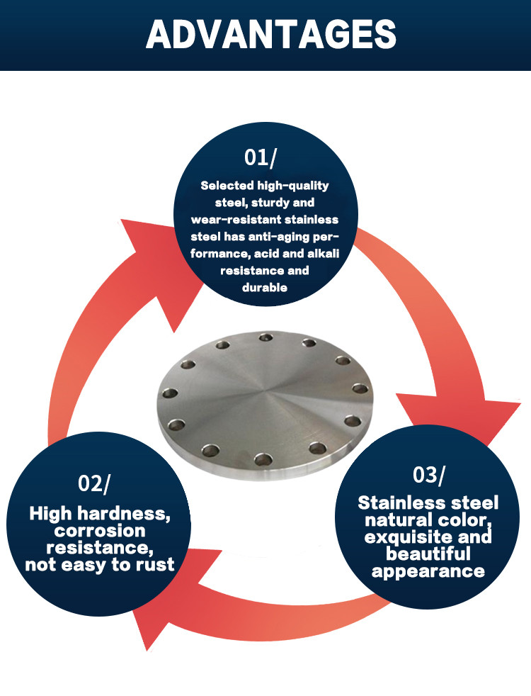 Nickel Alloy Steel  C276 UNS S10276 Flange DN 1/4" Class 150# Blind Flange
