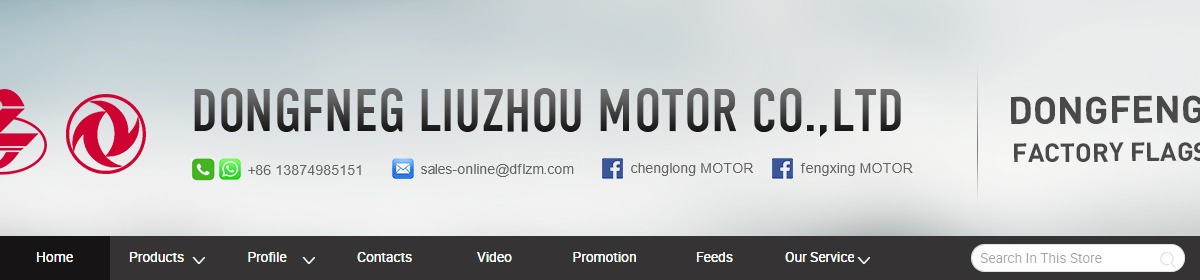 Company Overview - Dongfeng Liuzhou Motor Co., Ltd..