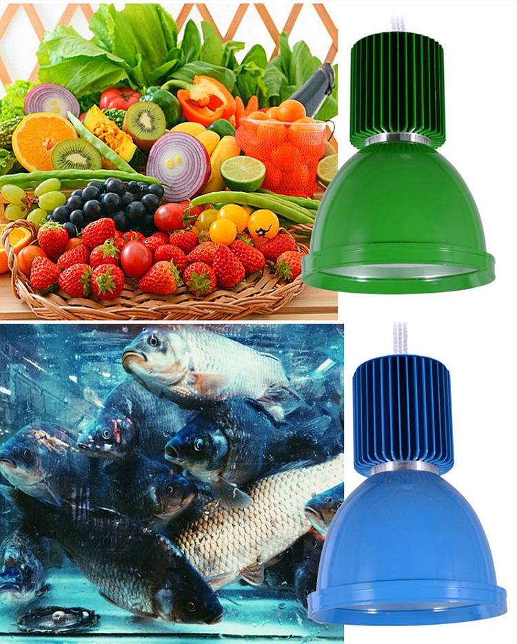 Hanging Food fresh sea food Low Bay 20w 30w 40w lighting for supermarket