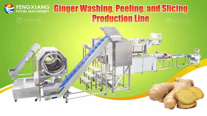 ZXJ-3 Stainless Steel Commerical Drum Cleaning Machine for Ginger