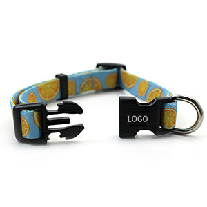 dog collar with stones