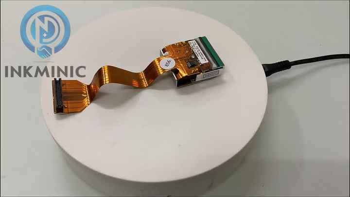 エリ Sold】1982年 エリザベス2世 5ポンド金貨 PF69UCAM NGC