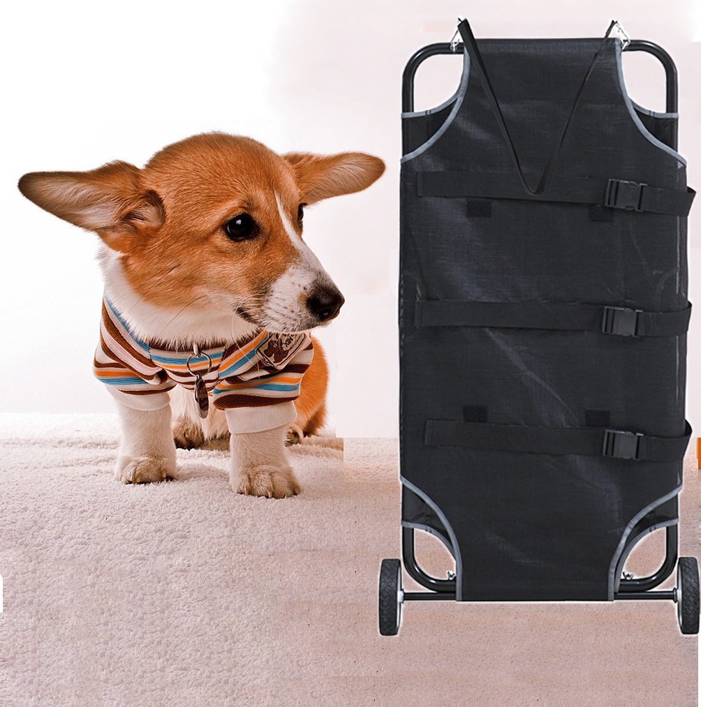 Japaneseプレイヤーの販売 オンラインショッピング 犬ストレッチャー Alibaba Comでのjapaneseプレイヤーの販売