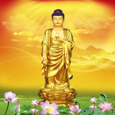 佛陀和莲花设计定制壁画壁纸 & amp