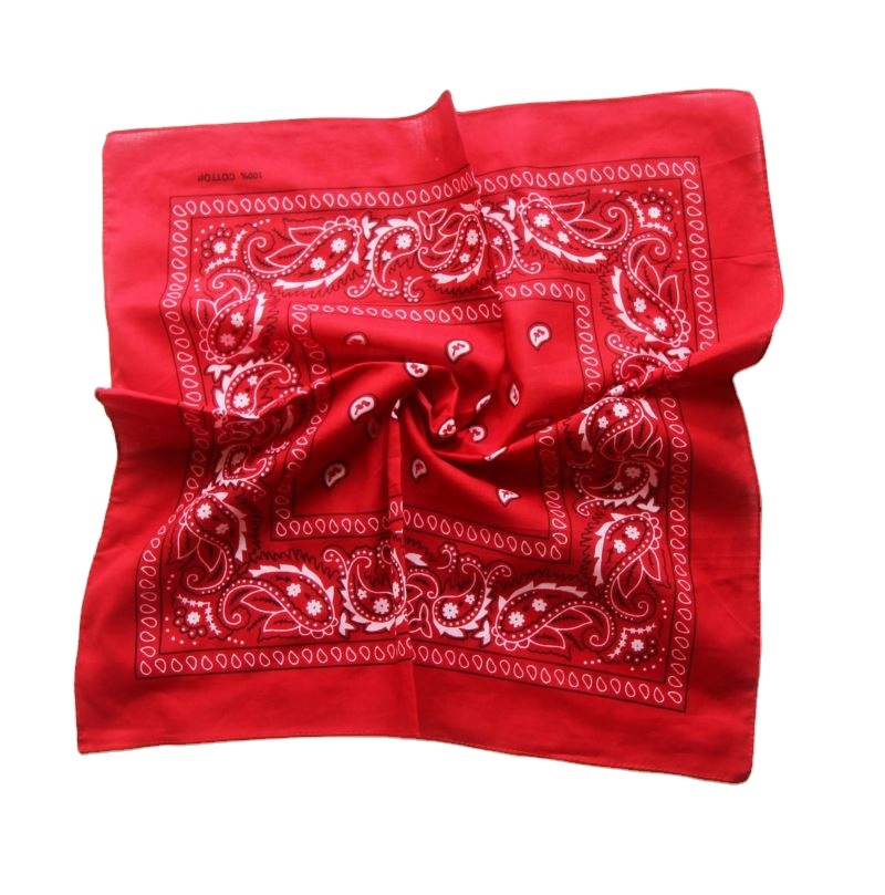 pa/ñuelo Bandana con estampado de cachemira