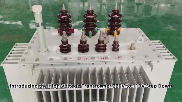 Uk Roeu Transformer 1000W Step Down Transformer 220V to 110V US to UK Voltage Power ...