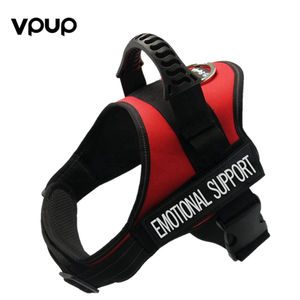 retractable dog leads asda