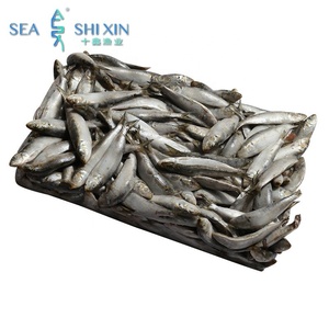 wholesale frozen bait distributors