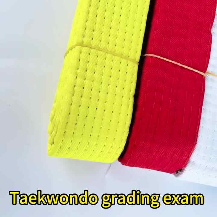 PATIKIL Cintura Di Rango Colorata Taekwondo, 1.6" X6.6Ft 2M Cintura In Poliestere Per Arti Marziali Judo Karate Per La Pratica Dell'Insegnamento Degli Allenatori, Verde-Blu