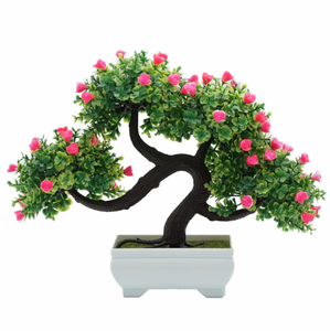 price of bonsai tree in nepal - Pregnant Center Informations price of bonsai tree in nepal - Pregnant Center Informations