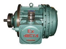 Wire Rope Electric Monorail Hoist For Gantry Crane 20t 0
