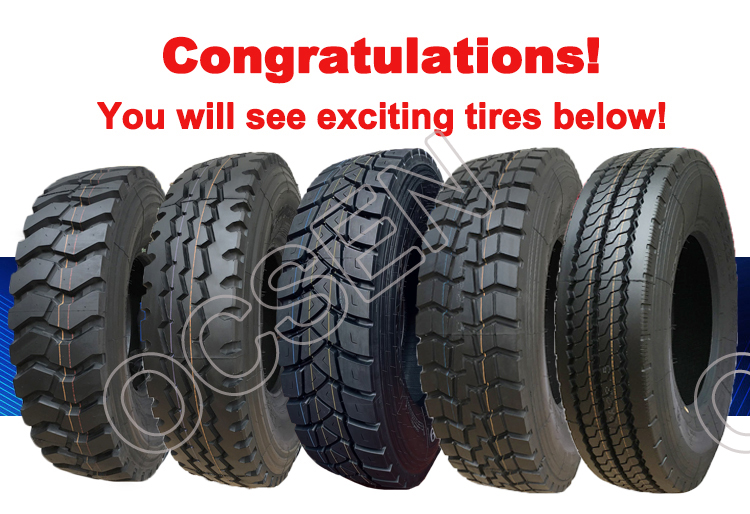 最終値下げ⚠️【新品未使用】TRUDON La Promeneuse キャンドル TOPRUNNER CR918 DOUPRO ST932 Trailer Tow Truck Tires 385/65R22.5