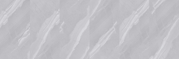 Hasin Popular Design Grey Color 600*1200mm Rustic Floor Tiles for Living Room