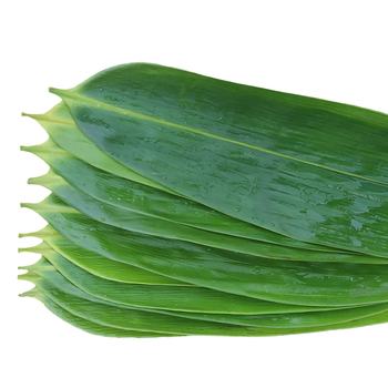 2021 decorative  green fresh wholesale sushi bamboo leaves$1.