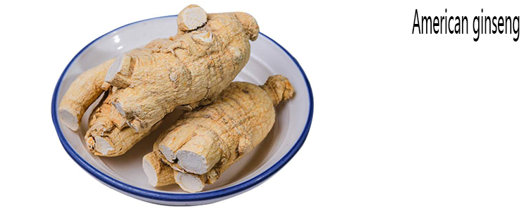 Free Samples Raw Panax Ginseng Red Ginseng Extract