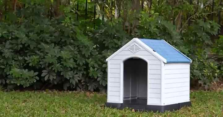 Pawise Hot Sale Durable Outdoor Dog House Comfortable Cool Shelter
