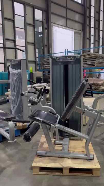 Seated Leg Extension Machine with Inserts for Shaping and Fitness ...