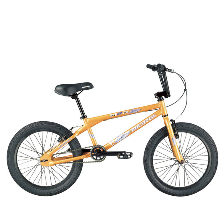 BMXバイク用最も人気のあるダブルディスクブレーキ、20インチディスク