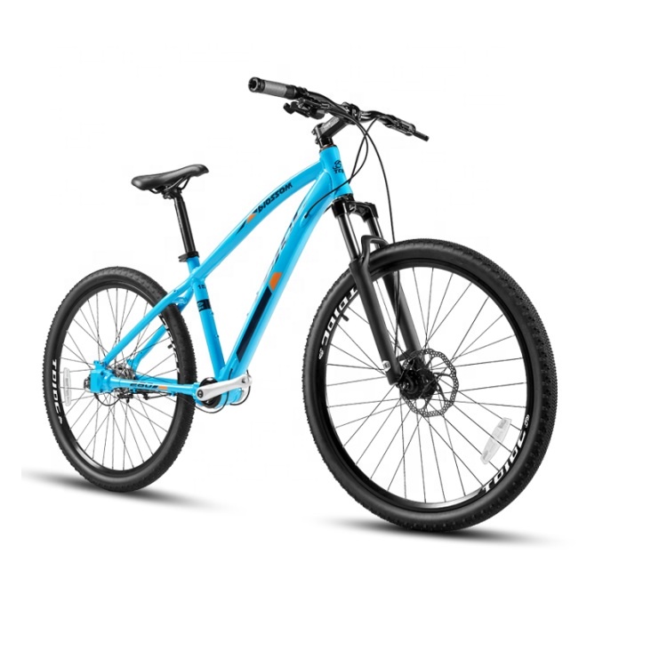 3 speed mtb