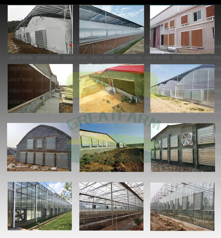 2022 Evaporative cooling pad Custom production for Poultry and pig farm Wet Curtain and temperature control equipment