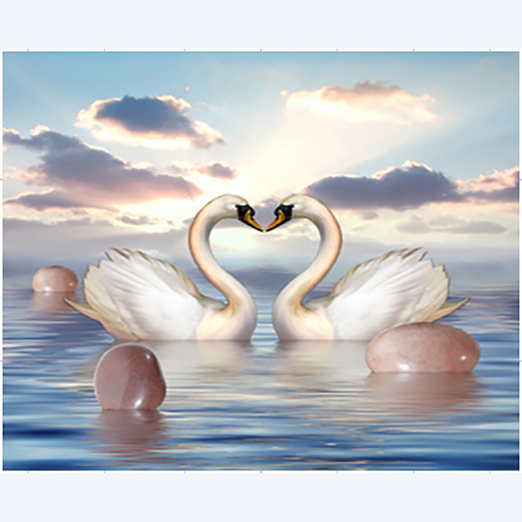 5D-DIY-diamond-thorn-animal-two-swans.jpg