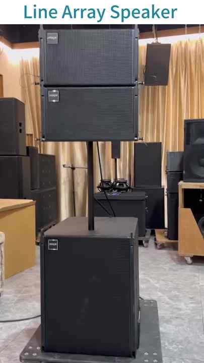 Hot Sale Professional Dual 10 Inch Line Array Speaker System