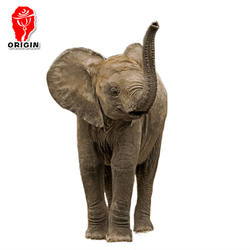 giant mechanical life size foam animals