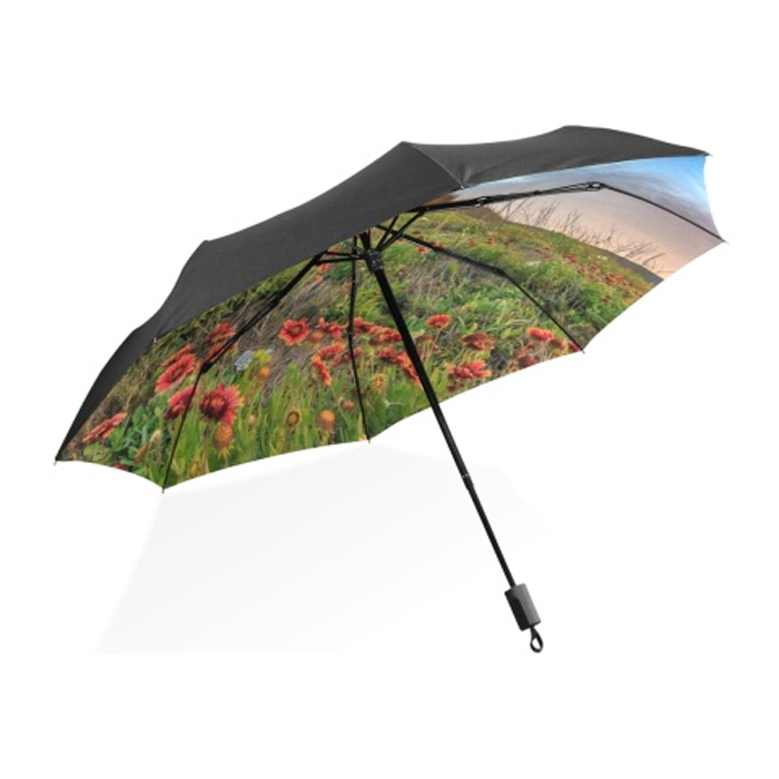 cheapest umbrella company fees
