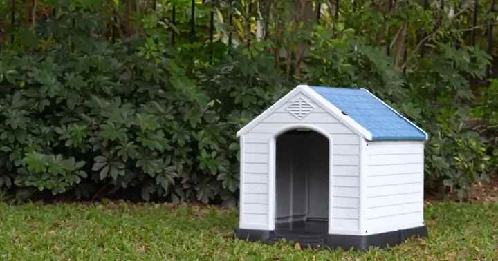 Pawise Waterproof Large Multi-size Plastic Dog House, Odm Wholesale