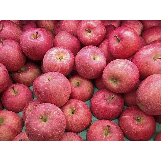 Red Fuji Apple Tree Large, round, and sweet apples that make it one of the most 