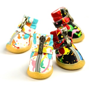 converse chien converse chien