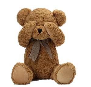 custom made teddy bear with voice message