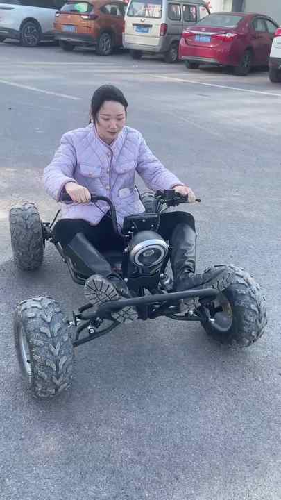 Kid Mini Suspension Handlebar Go Kart - 63CC Off-Road Electric Fun