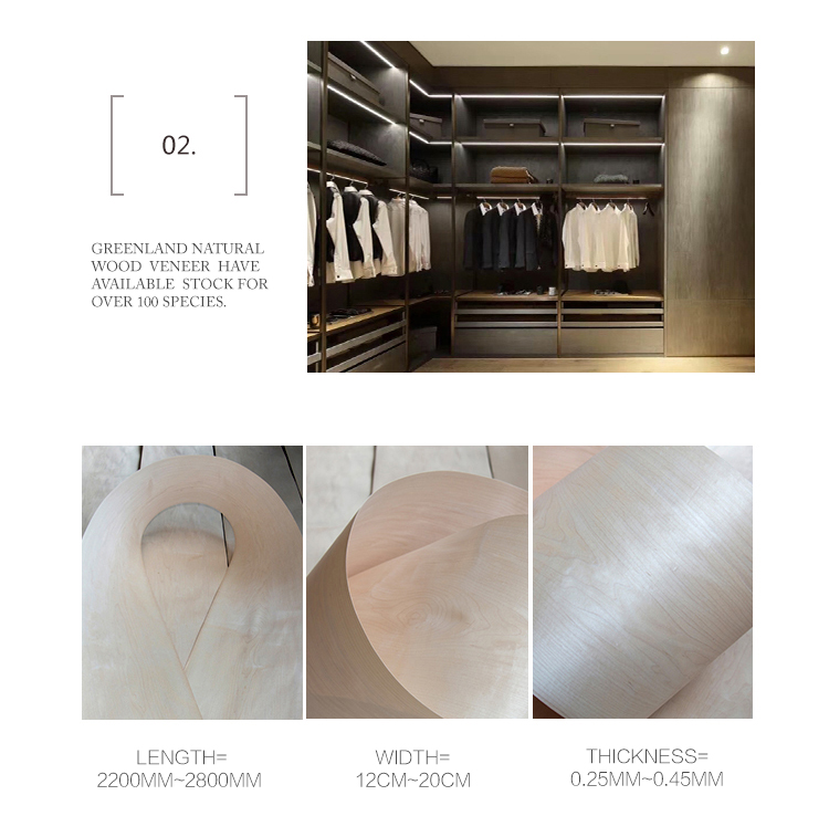 Natural Wood Veneer Crown Cut American Maple Timber Veneer