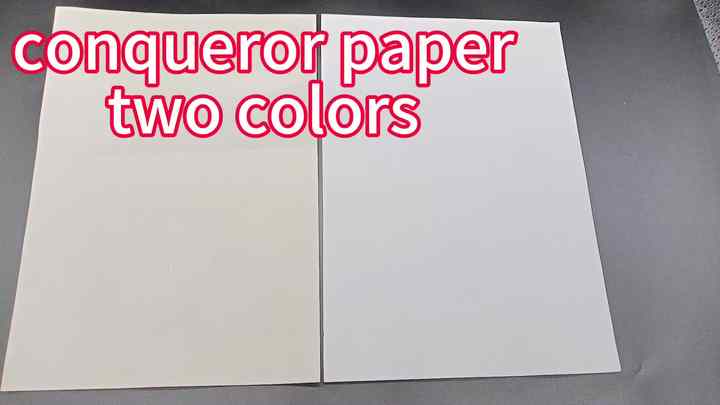 Conqueror Paper High White Wove A4 100gsm Ream (Pack Of 500