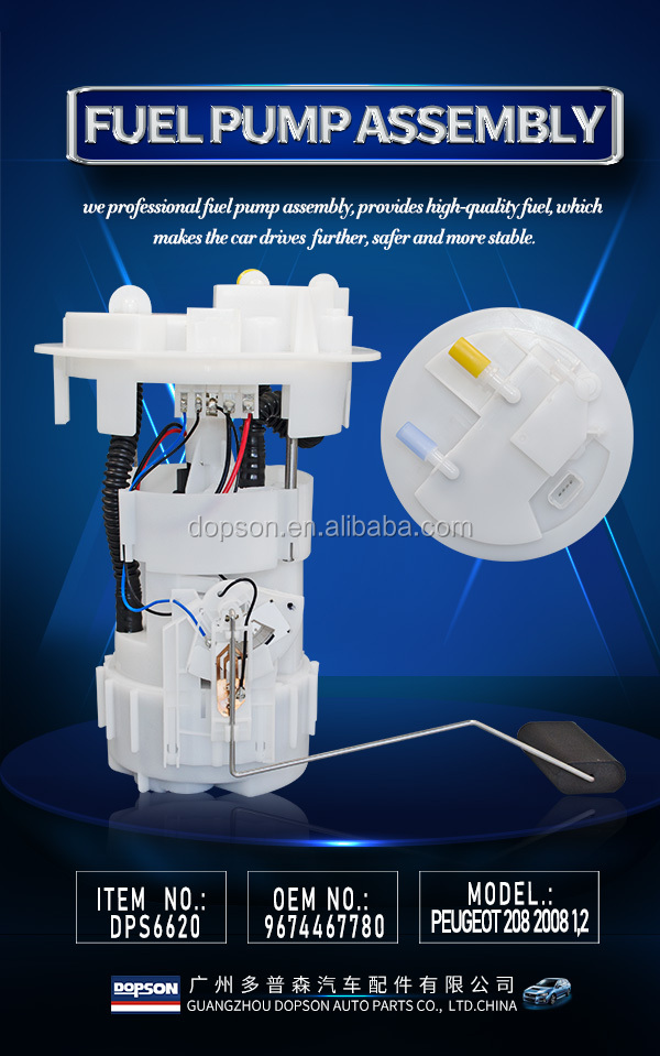 Fuel Pump Assembly Module 9674467780 for PEUGEOT & CITROEN