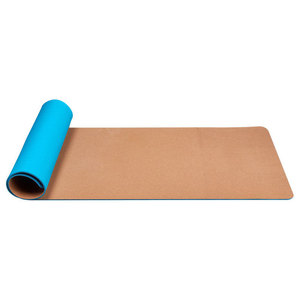 dollarama yoga mat