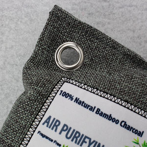 bamboocharcoalairpurifyingbag