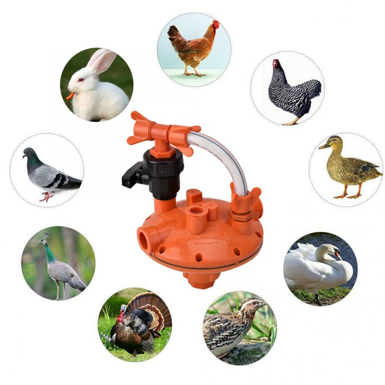 Chicken Layer Cage Pressure Reducing Regulator Valve Water Tank Poultry Water Line Pressure Regulator
