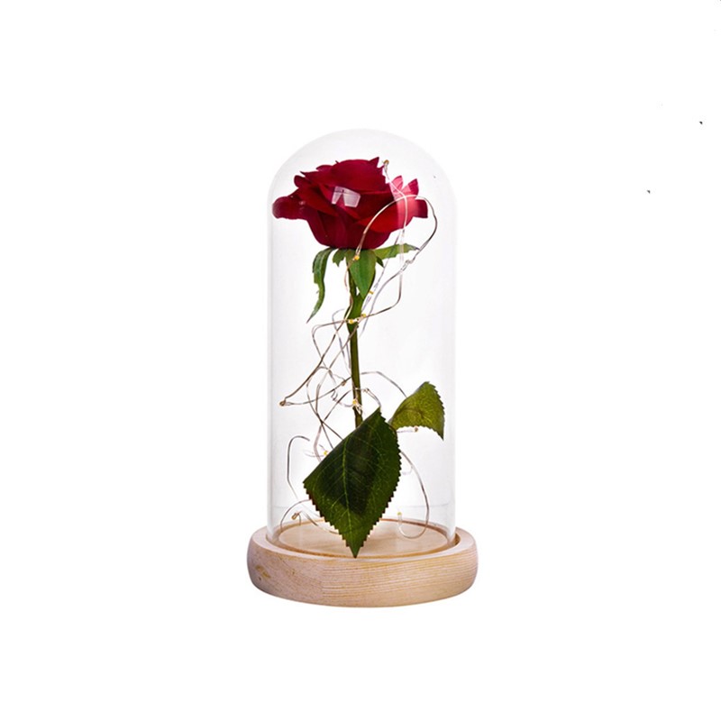 Лидер продаж, купольный дисплей, изготовленный в Китае