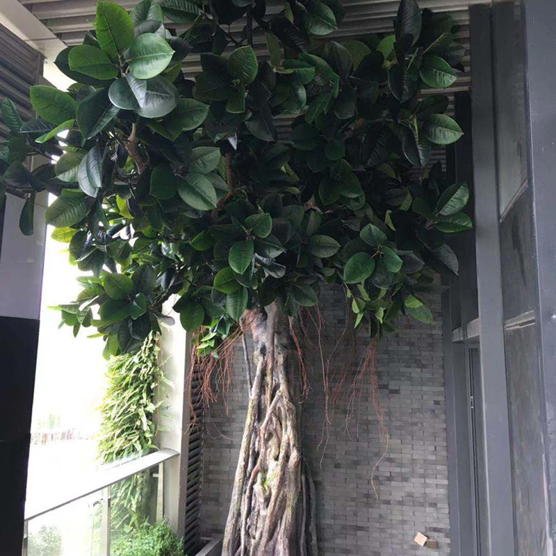 Fiberglass trunk and plastic top branches artificial big banyan trees for interior shop decoration