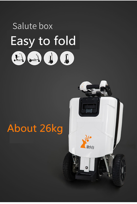 Disabled Person Three Wheels luggage Electric Mobility Elderly adult Scooter