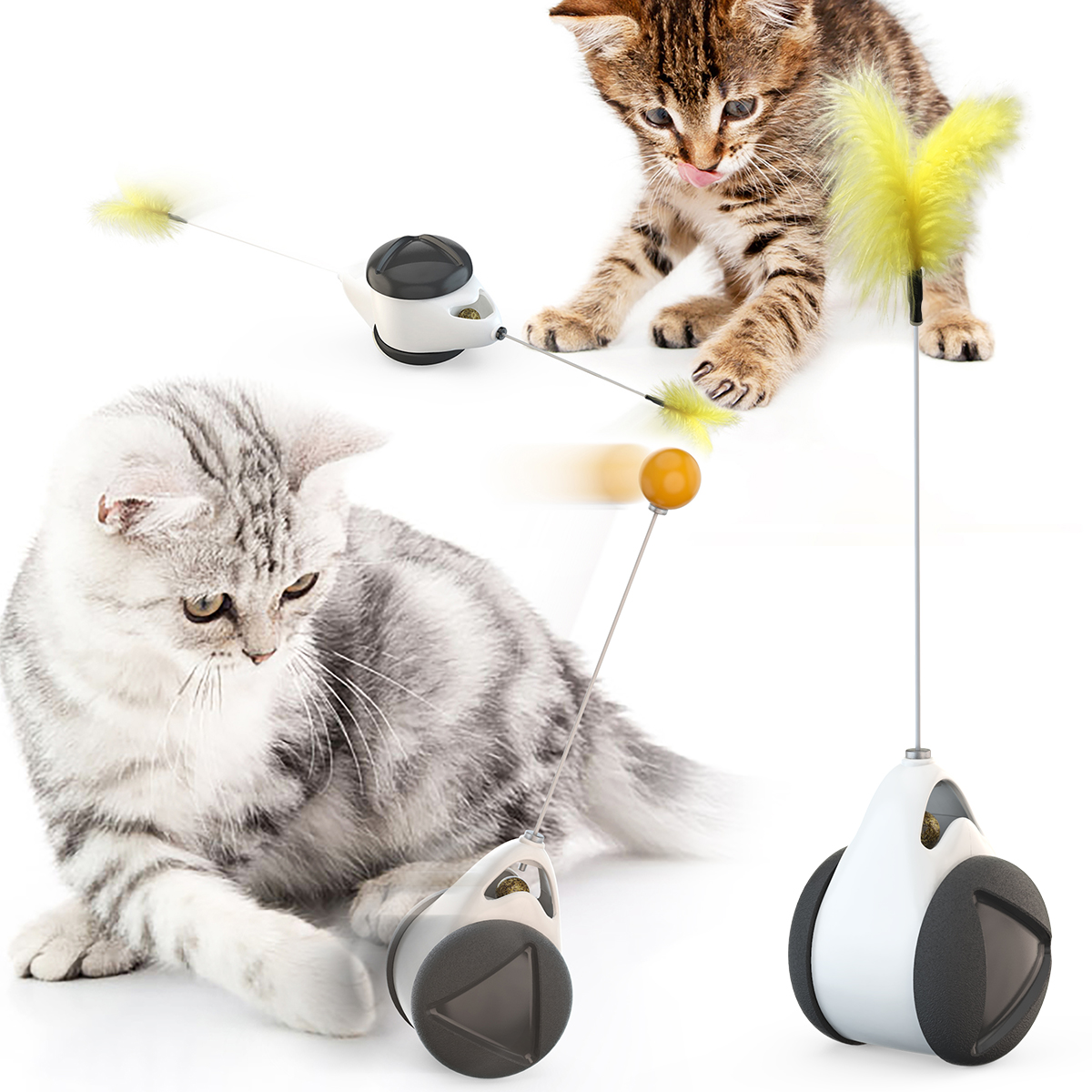 Rechercher Les Fabricants Des Chat D 39 Exercice Roue Produits De Qualite Superieure Chat D 39 Exercice Roue Sur Alibaba Com Rechercher Les Fabricants Des Chat D 39 Exercice Roue Produits De Qualite Superieure Chat D 39 Exercice Roue Sur Alibaba Com