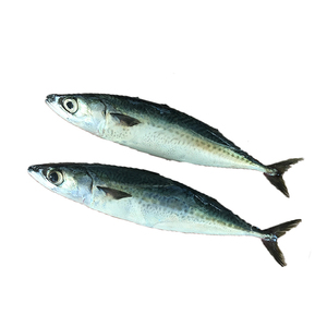 seafood companies suppliers